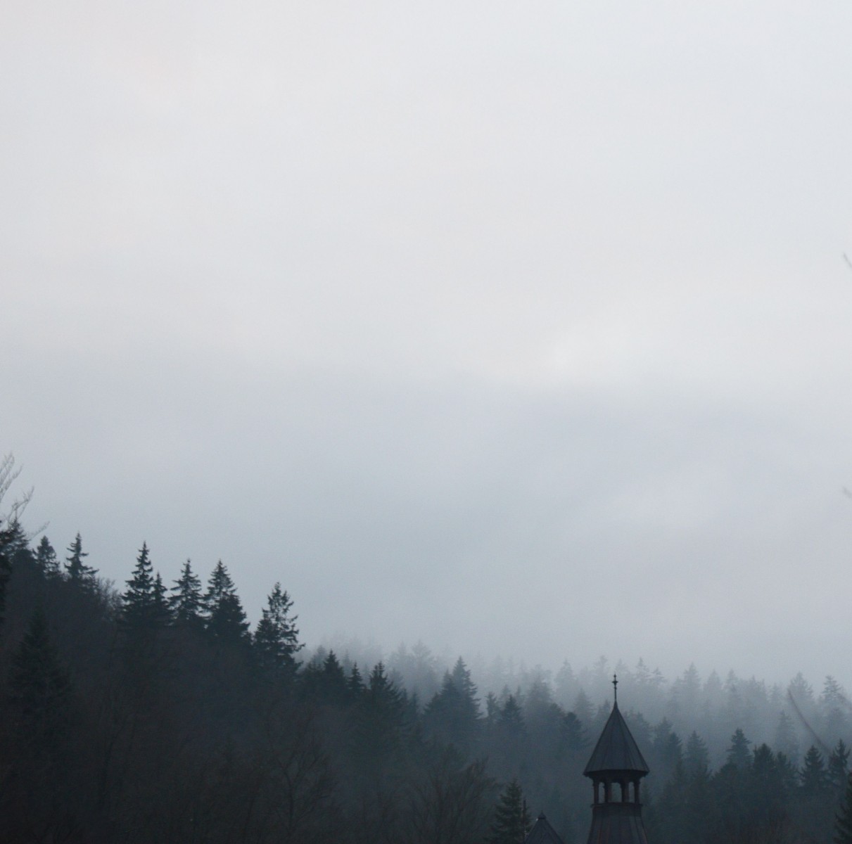 nature & trips