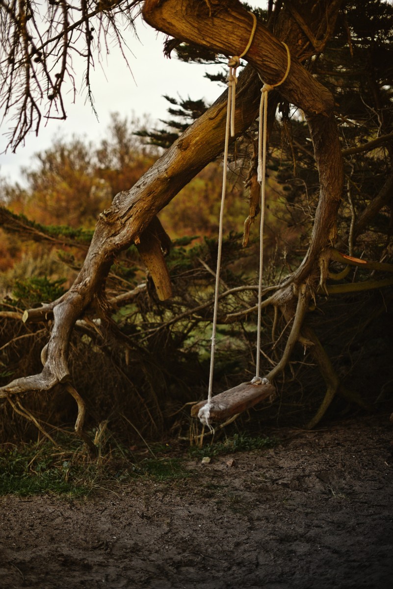 nature & trips