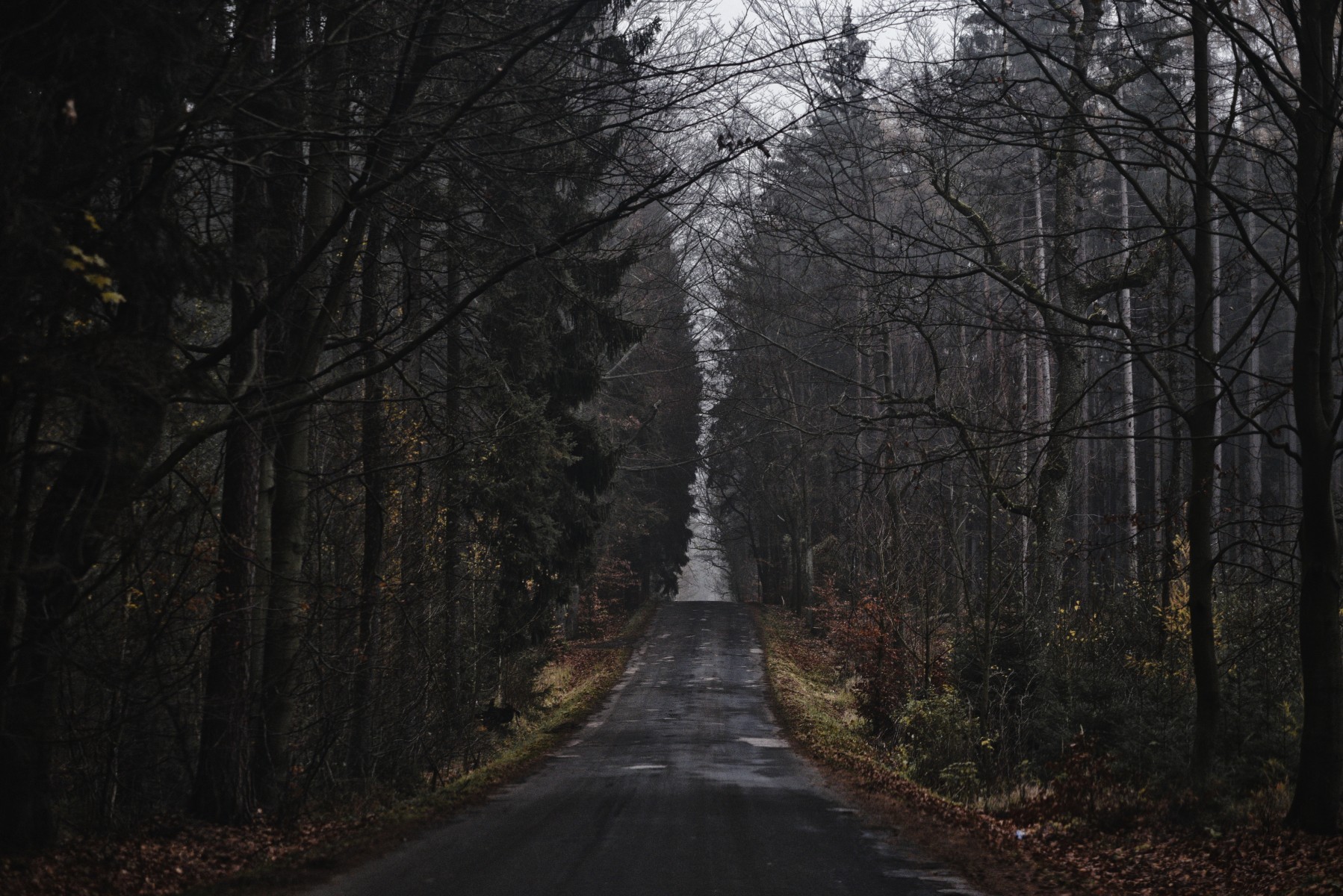 nature & trips