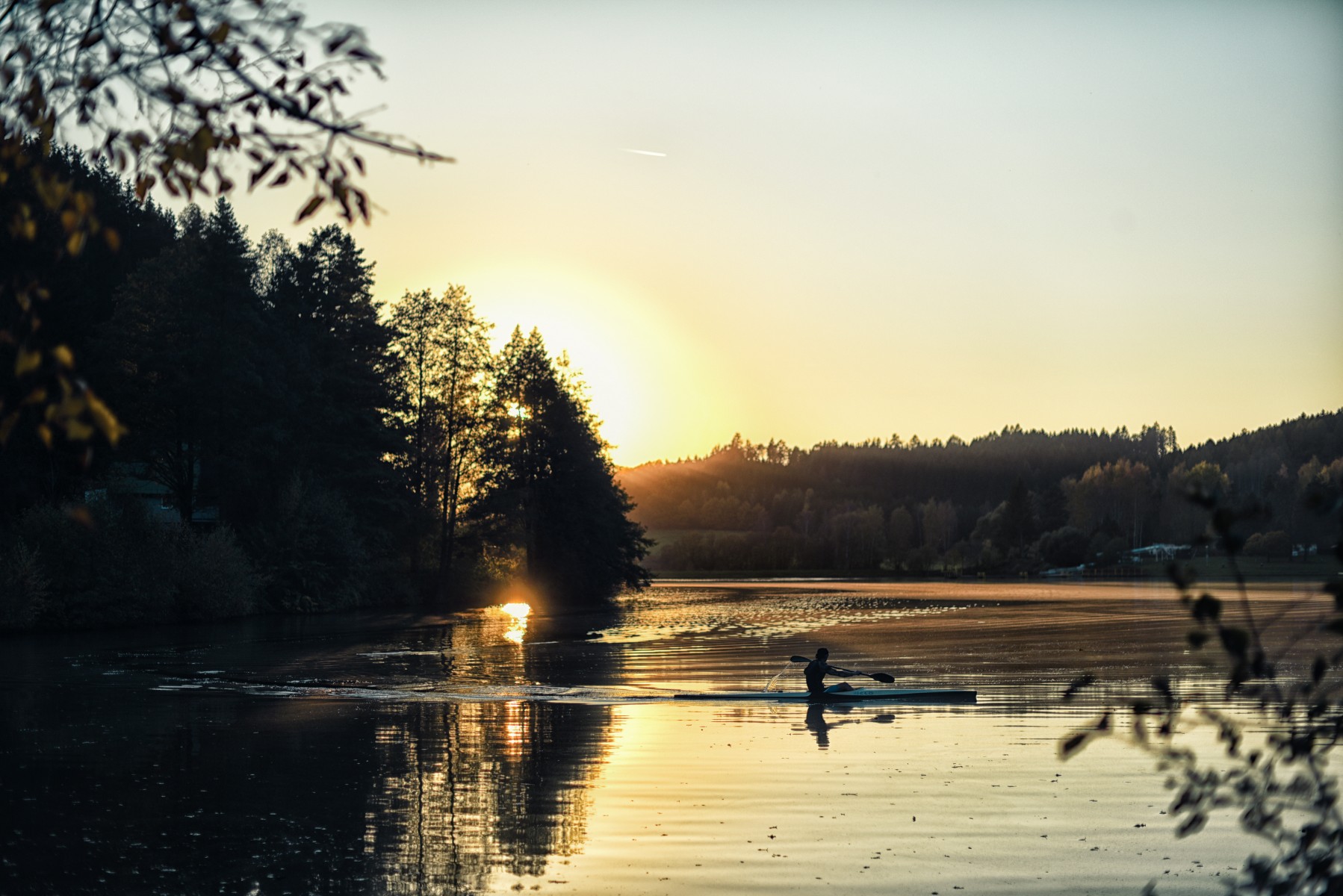 nature & trips