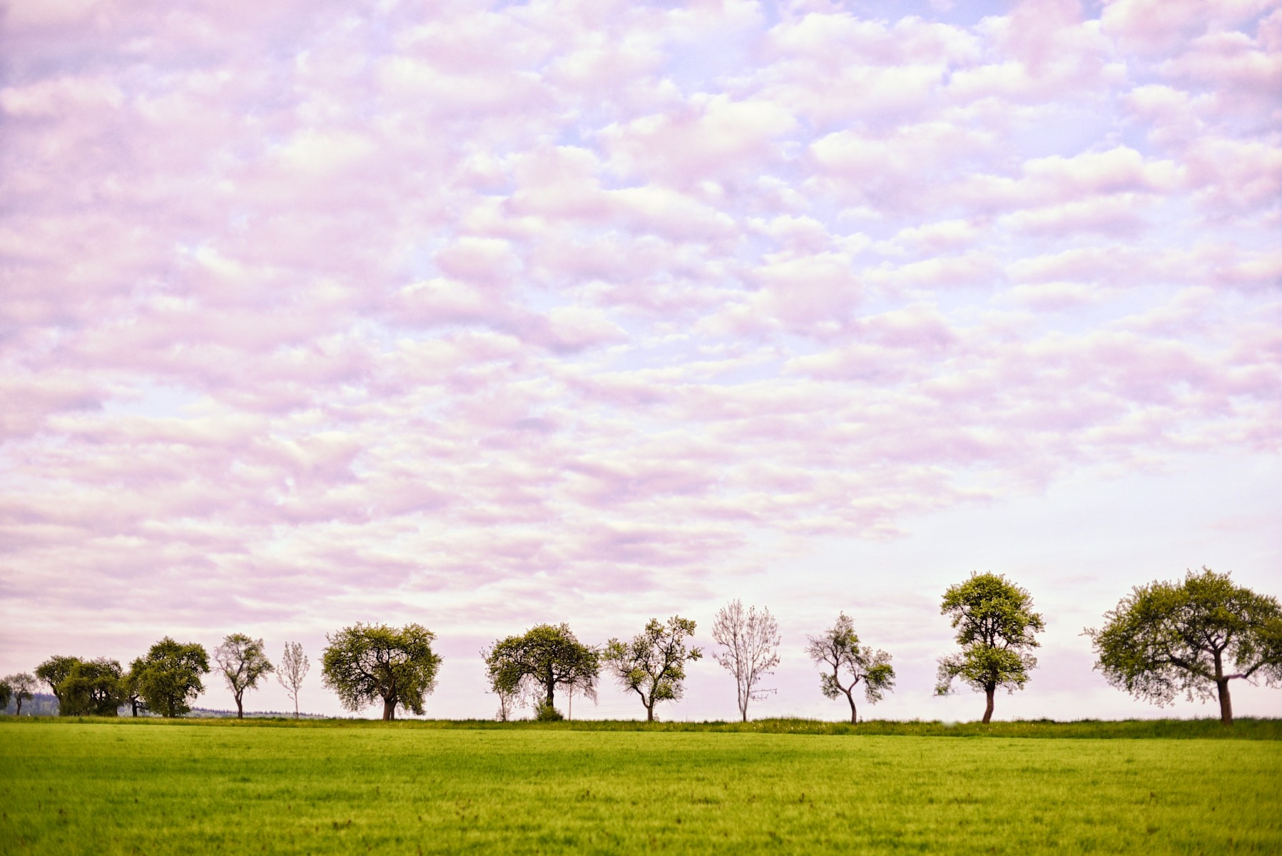 nature & trips