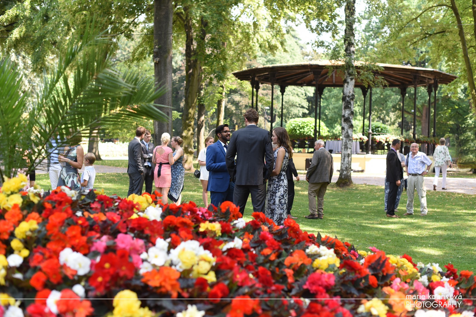 wedding